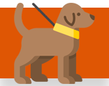Seguro Pet for Health